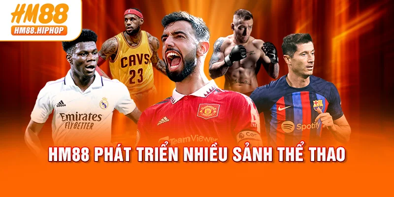 HM88 phát triển nhiều sảnh thể thao